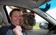 Best Funny Selfies 6 Free Hd Wallpaper