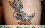 Funny Animal Tattoos 12 Background