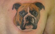 Funny Animal Tattoos 13 Free Hd Wallpaper