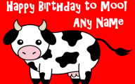 Funny Cartoons Birthday 14 Hd Wallpaper