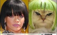 Funny Celebrities Look Alike 17 Free Hd Wallpaper