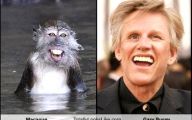 Funny Celebrities Look Alike 21 Hd Wallpaper