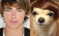 Funny Celebrities Look Alike 32 Widescreen Wallpaper