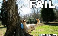 Funny Fails 2014 7 Widescreen Wallpaper