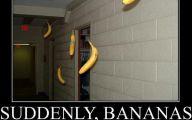 Funny Fails Pics 24 Cool Wallpaper