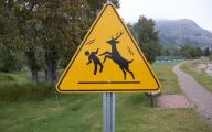 Funny Road Signs 10 Cool Wallpaper