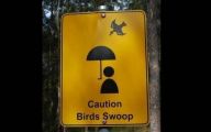 Funny Road Signs 14 Desktop Wallpaper