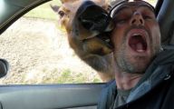 Funny Selfies Gone Wrong 11 Hd Wallpaper