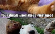 Funny Selfies Memes 8 Cool Wallpaper