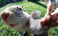 Funny Selfies With Animals 18 Desktop Wallpaper