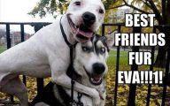  Funny Weird Best Friend Quotes 22 Hd Wallpaper