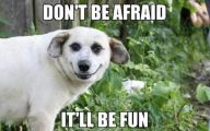 Funny Weird Captions 12 Desktop Wallpaper