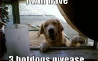 Funny Weird Captions 14 Hd Wallpaper