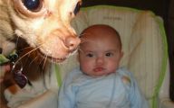 Hilarious Baby Selfies 32 Widescreen Wallpaper