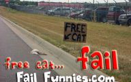 Epic Funny Cat Fails 8 Cool Wallpaper