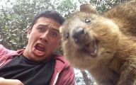 Funny Captions For Selfies 9 Desktop Background