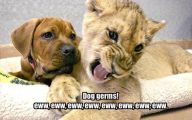 Funny Cartoon Dog Pictures 22 High Resolution Wallpaper