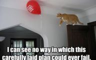 Funny Cat Fail Pics 17 Background