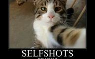 Funny Jokes About Selfies 22 Desktop Background