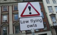 Funny Street Signs 5 Hd Wallpaper