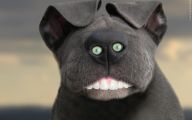 Weird And Crazy Dogs 14 Cool Hd Wallpaper