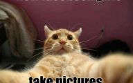 All Funny Selfie Pictures 26 Free Wallpaper