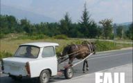 Epic Horse Fail Pictures 24 Widescreen Wallpaper