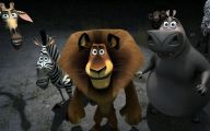 Funny Animals Animation 17 Hd Wallpaper