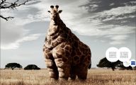 Funny Animals Animation 8 Free Wallpaper