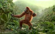 Funny Animals Dancing 35 High Resolution Wallpaper