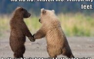 Funny Animals Dancing 37 Desktop Wallpaper