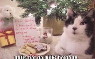 Funny Animals With Captions 15 Desktop Wallpaper