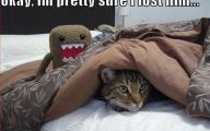 Funny Animals With Captions 6 Desktop Wallpaper