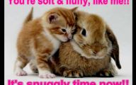 Funny Animals With Quotes 1 Desktop Background