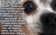 Funny Animals With Words 1 Desktop Wallpaper