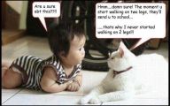 Funny Baby Jokes 21 Cool Hd Wallpaper