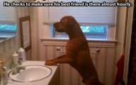 Funny Bathroom Selfies 25 Hd Wallpaper