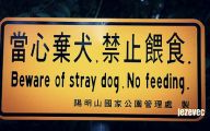 Funny Beware Of Dog Signs 4 Wide Wallpaper