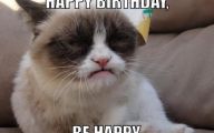 Funny Birthday Cat 15 Wide Wallpaper