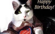 Funny Birthday Cat 5 High Resolution Wallpaper