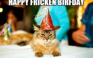 Funny Birthday Cat 6 Background Wallpaper