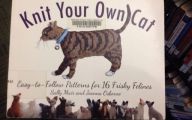 Funny Cat Books 32 Hd Wallpaper