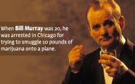 Funny Celebrity Facts 12 Desktop Background