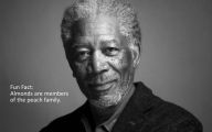 Funny Celebrity Facts 18 Desktop Background