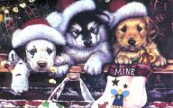 Funny Christmas Dogs 4 Desktop Background