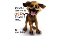 Funny Dog Backgrounds 19 Background Wallpaper