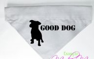 Funny Dog Bandanas 19 Cool Hd Wallpaper