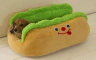 Funny Dog Bed 6 Desktop Wallpaper