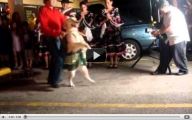 Funny Dog Dancing 16 Wide Wallpaper