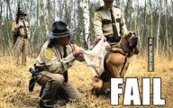 Funny Dog Fails 7 Background